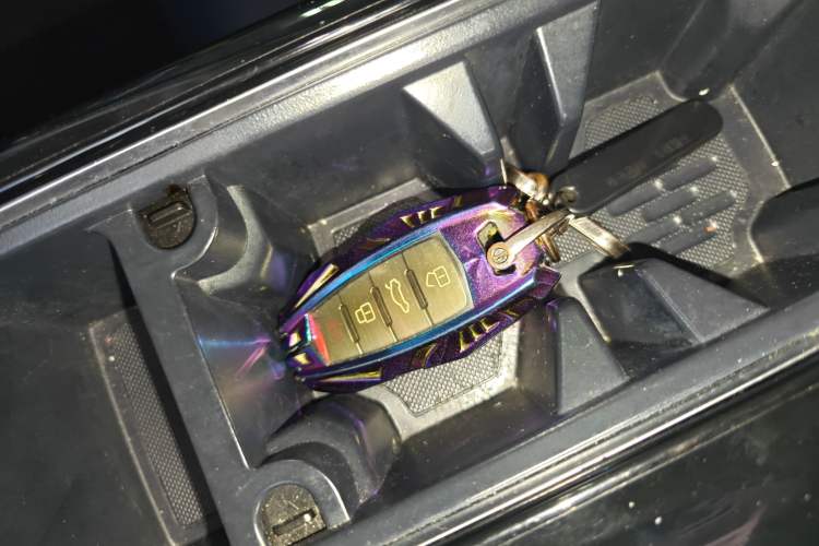 Used Haval DARGO 2021 1.5T DCT Two-Wheel Drive Border Collie Edition