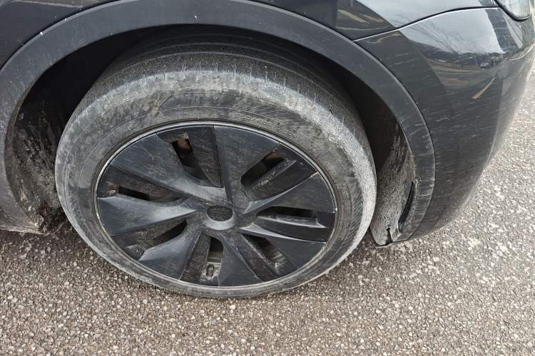 Used Tesla Model Y 2024 Rear-Wheel-Drive Version