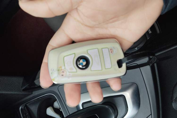 Used BMW 3 Series 2018 320Li Fashion Model