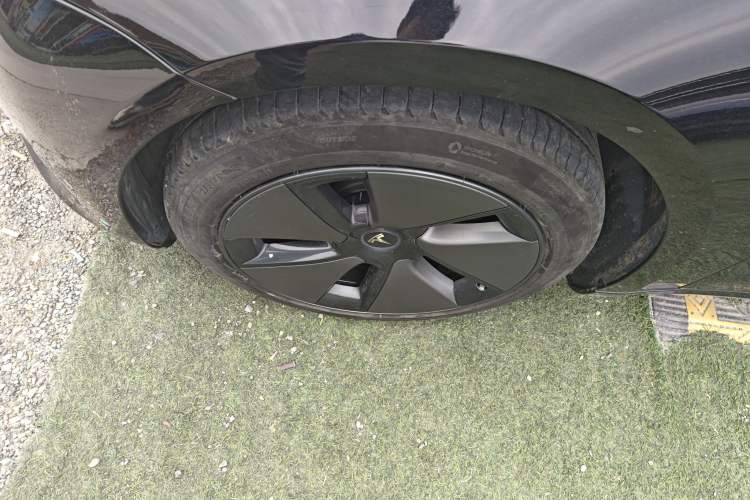 Used Tesla Model 3 2022 Rear-Wheel-Drive Version Exterior 4