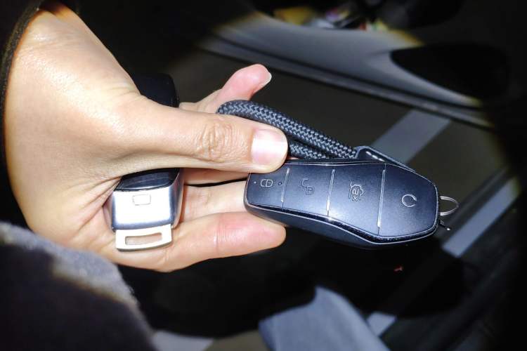 Used BYD Dolphin 2021 405 km Free Version