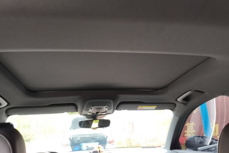 Used Audi A6L 2020 40 TFSI Luxury Dynamic Edition Headliner