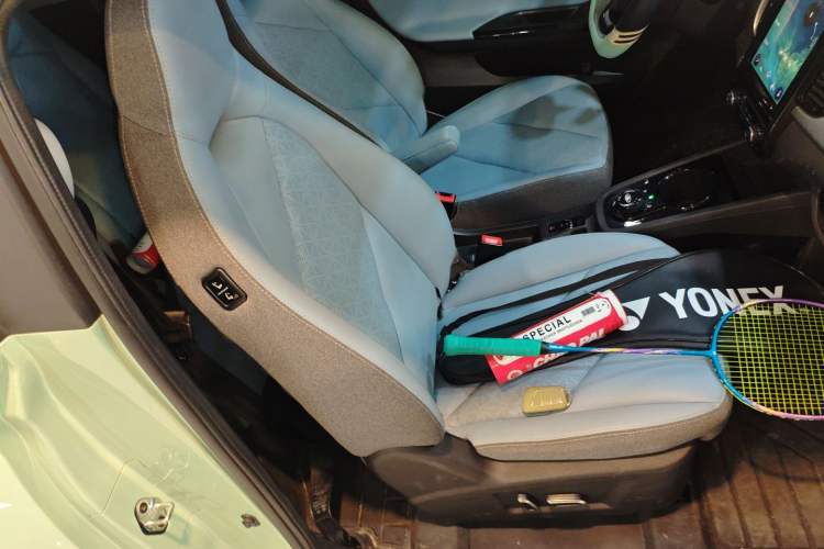 Used Chery New Energy Little Ant 2022 Sweet Pink Edition Half-Sugar Version Lithium Iron Phosphate 30 kW 301 km