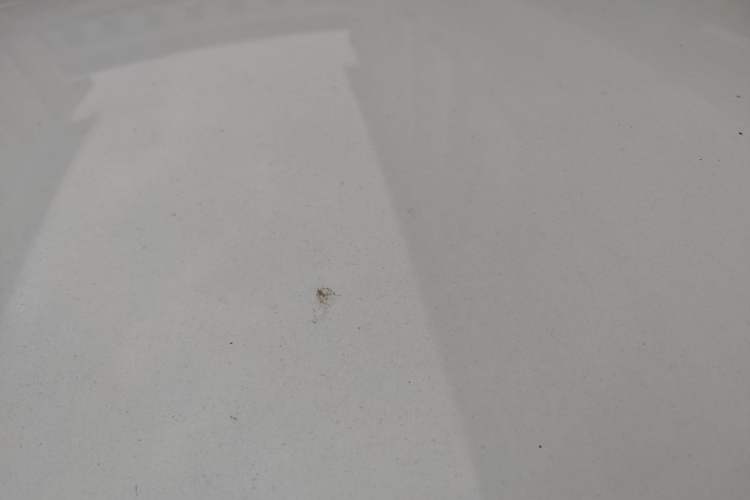 Used Volkswagen Polo 2018 1.5L Automatic Advanced Driving Model Roof