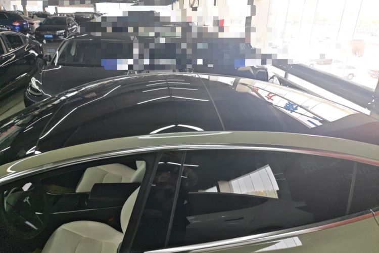 Used Tesla Model 3 2019 Standard Range Rear-Drive Upgraded Version Roof