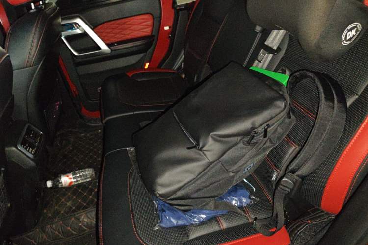 Used BAIC Off-Road BJ40 2023 2.0D Automatic Four-Wheel Drive Blade Hero Edition Adventurer Type Left Rear Seat