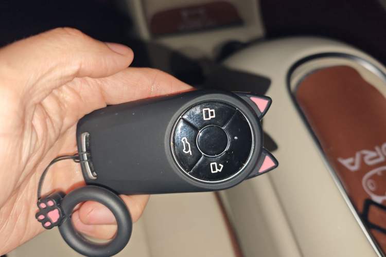 Used ORA Good Cat 2023 401 km Standard Range Luxury Version Lithium Iron Phosphate