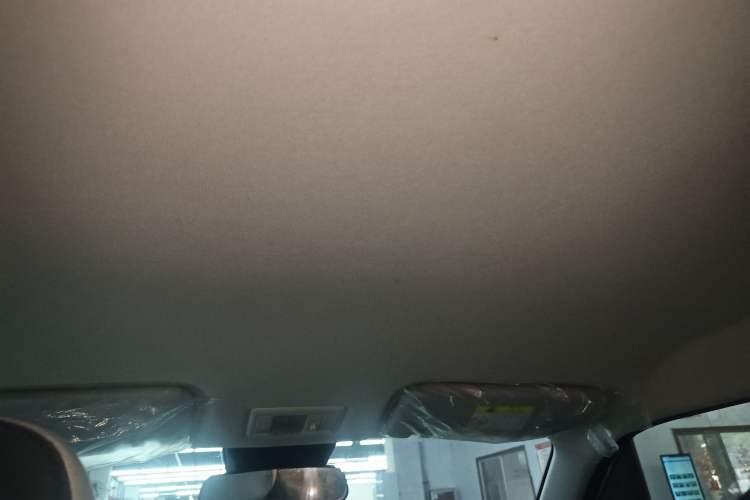 Used Qiyuan Lumin 2022 210km Sweet Edition
