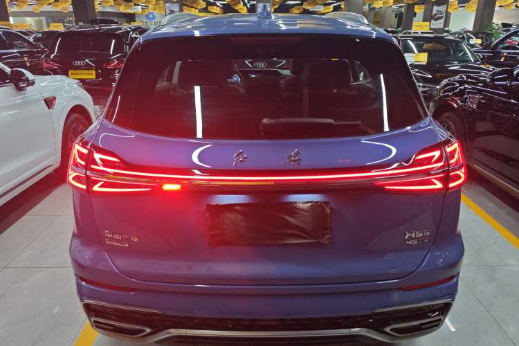 Used Hongqi HS5 2023 2.0T Four-Wheel Drive Flagship Pro Edition
