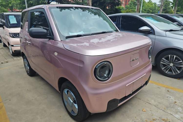 Used Geely Galaxy Panda 2024 Panda Mini 200km Endurance Bear
