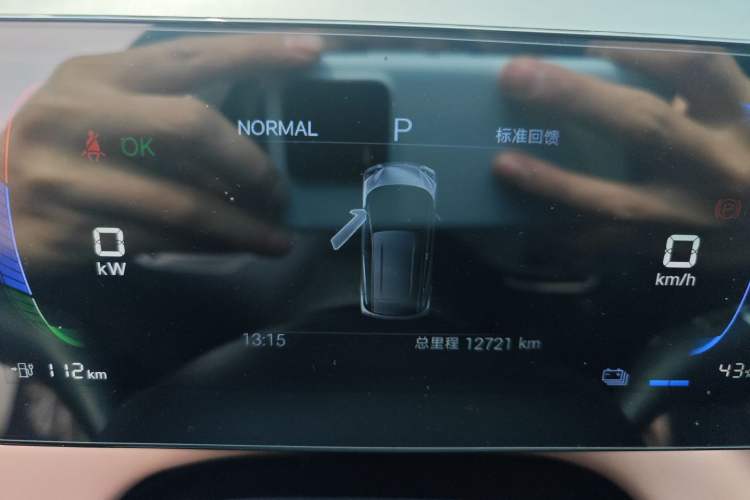 Used BYD Seagull 2025 305 km Free Version
