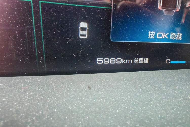 Used Tank 400 2025 2.0T Gasoline Version