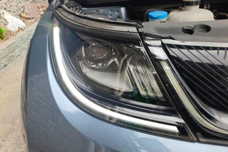 Used BYD Dolphin 2024 Honor Edition 420km Freedom Version