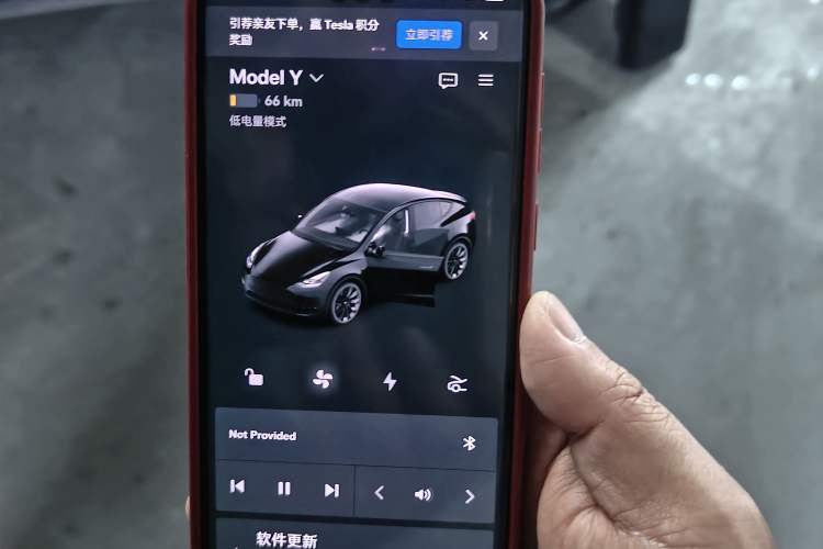 Used Tesla Model Y 2022 Rear-Wheel-Drive Version