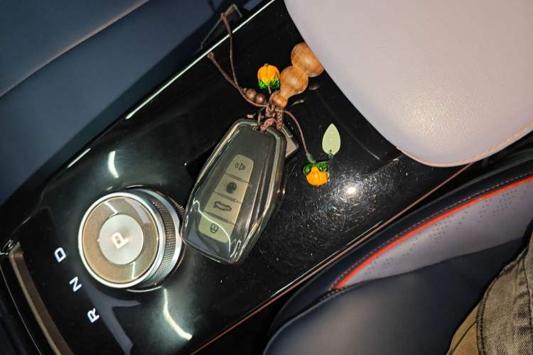 Used Geometry E Firefly 2023 320KM Cute & Handsome Tiger 5 Seats Interior 1