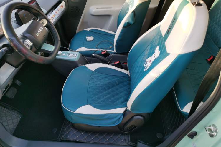 Used CHANGAN NEVO Lumin 2023 205km Xiangqin Version Left Front Seat