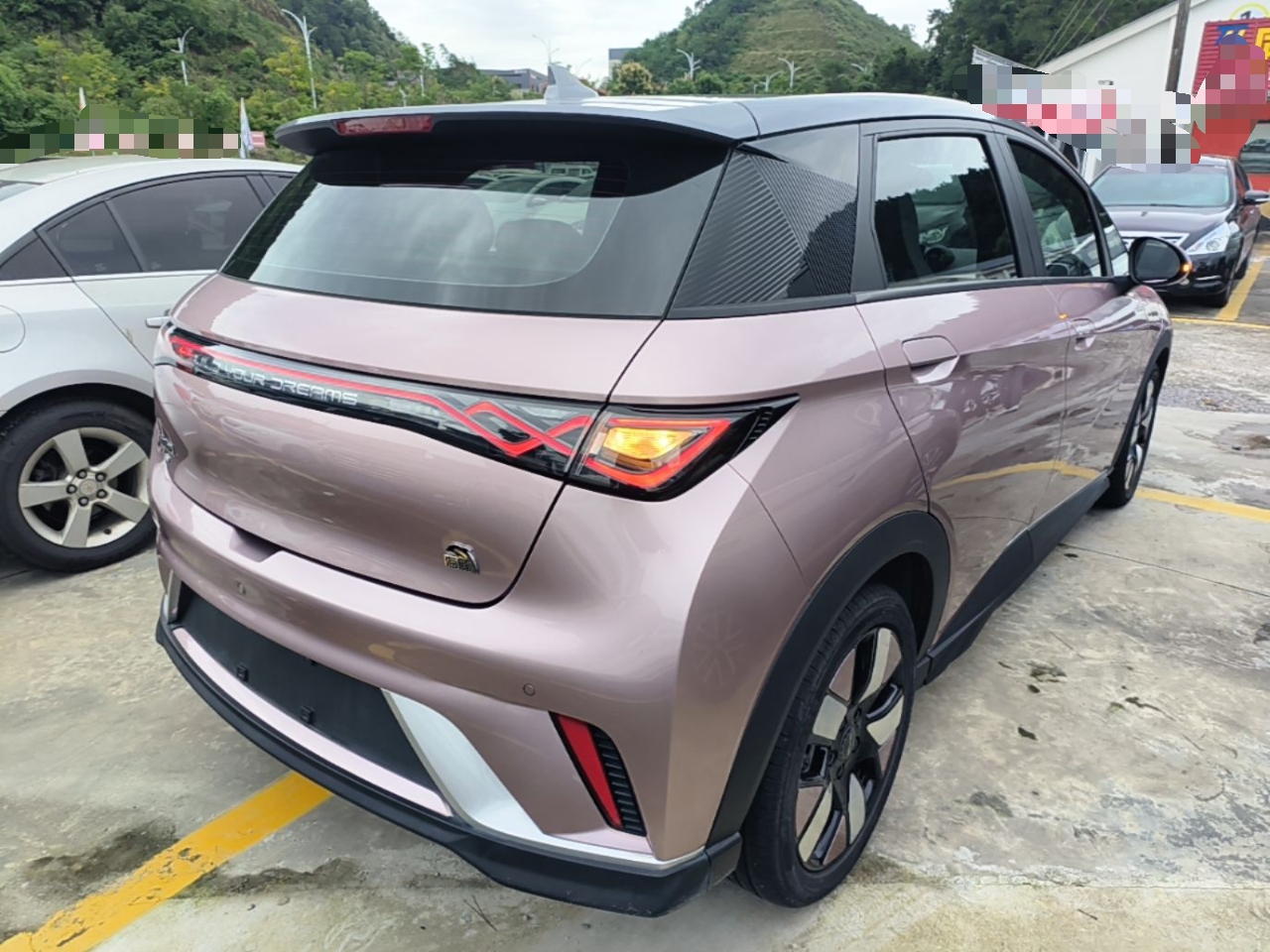 BYD Dolphin 2021 401km Knight Edition — снимка 6