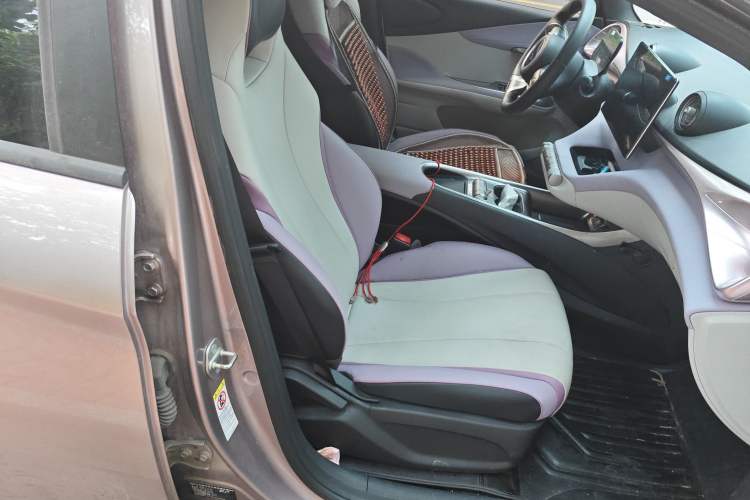 Used BYD Dolphin 2021 401km Knight Edition Right Front Seat