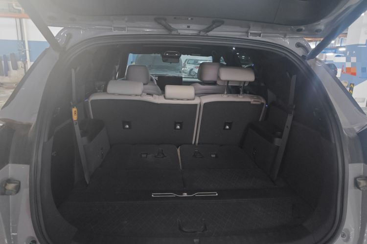 Used BYD Tang New Energy 2025 DM-i 115KM Prestige Model
