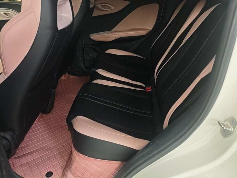 Used BYD Seagull 2023 Free Edition — 18