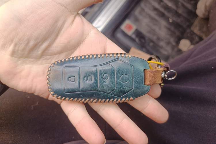 Used BYD Tang New Energy 2021 DM-i 112KM Prestige Model