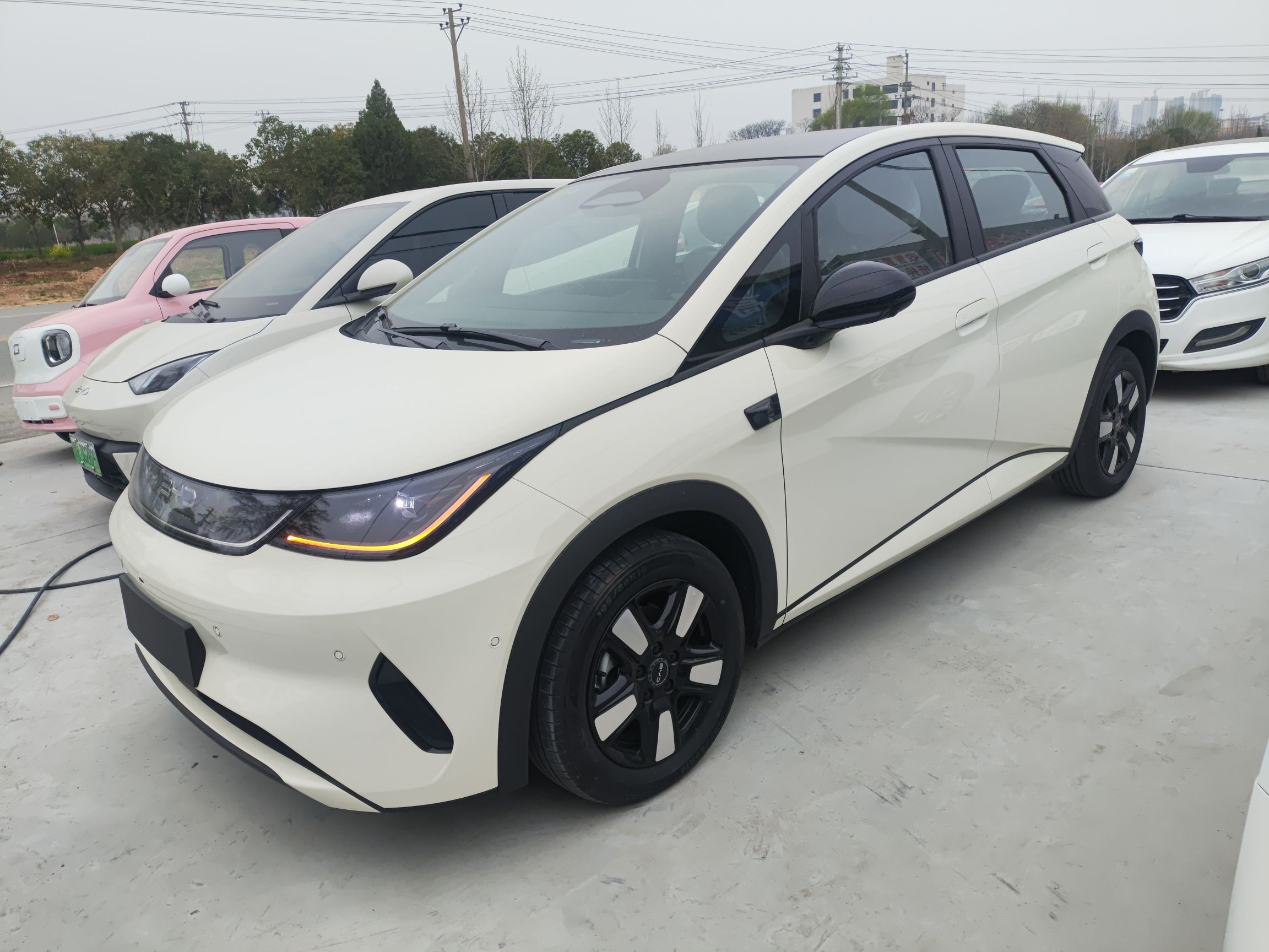 Parte inferior delantera