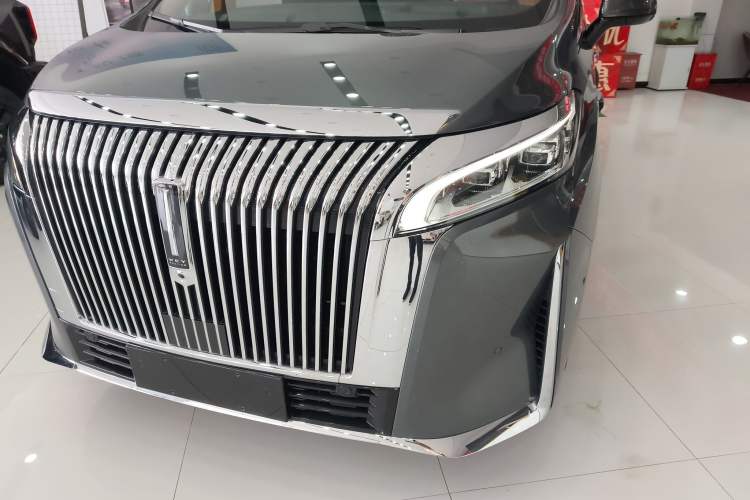 Used Wey Gaoshan 2025 Four-Wheel Drive Alpine 8 Left Front Headlight