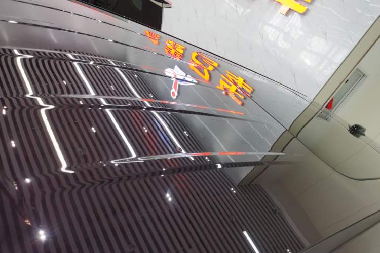 Used Hongqi HQ9 2023 2.0T Smart Connect Flagship Edition