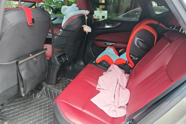 Used Lexus NX New Energy 2022 400h+ Comfort Edition Left Rear Seat