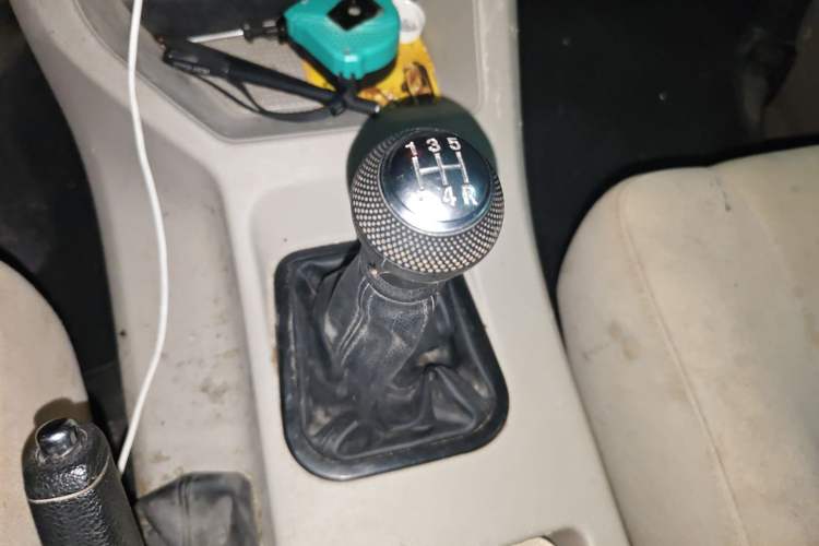 Used FORTHING Lingzhi 2020 M5L 1.6L Utility Model