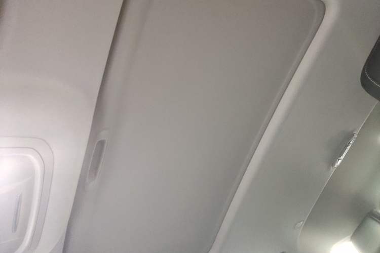 Used Tank 300 New Energy 2025 Hi4-T Headliner