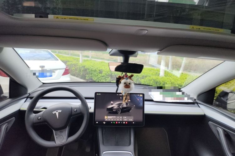 Used Tesla Model Y 2023 Rear-Wheel-Drive Version
