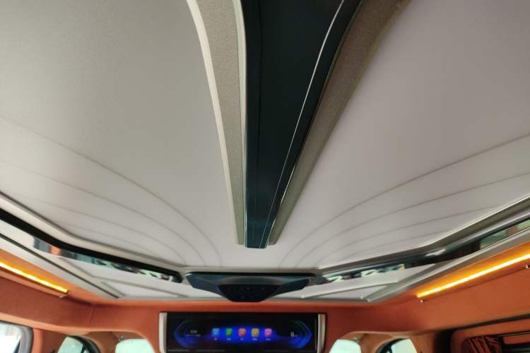 Used Juntian Black Warrior Youth 2023 2.0T Gasoline Standard Edition Headliner