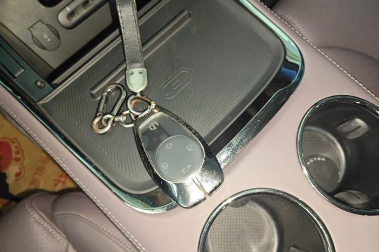 Used Leapmotor C11 2021 Zhixing Edition 510
