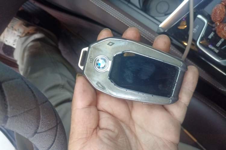 Used BMW 5 Series New Energy 2019 530Le Luxury Package