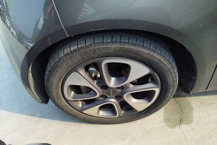 Used ORA White Cat 2020 305 km Luxury Version