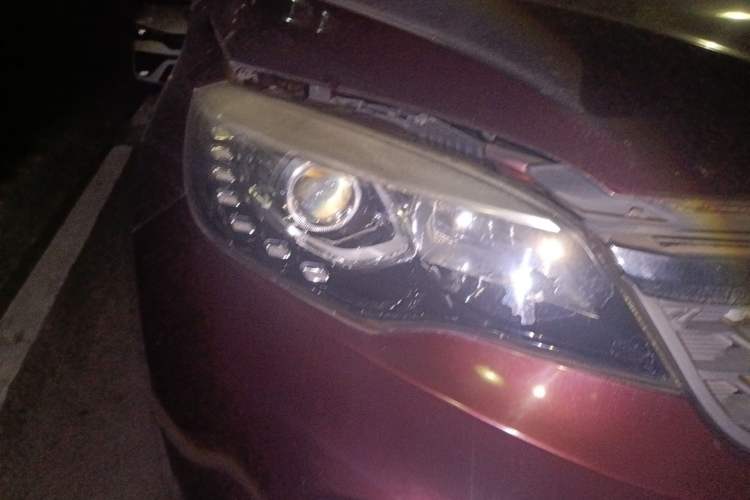 Used Leopaard CS10 2017 1.5T CVT Elite Model
