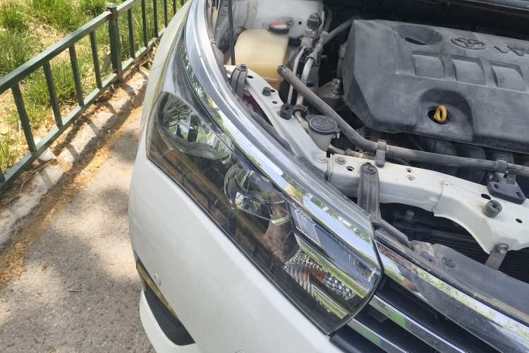 Used Toyota Corolla 2014 1.6L CVT GL-i Leather Edition
