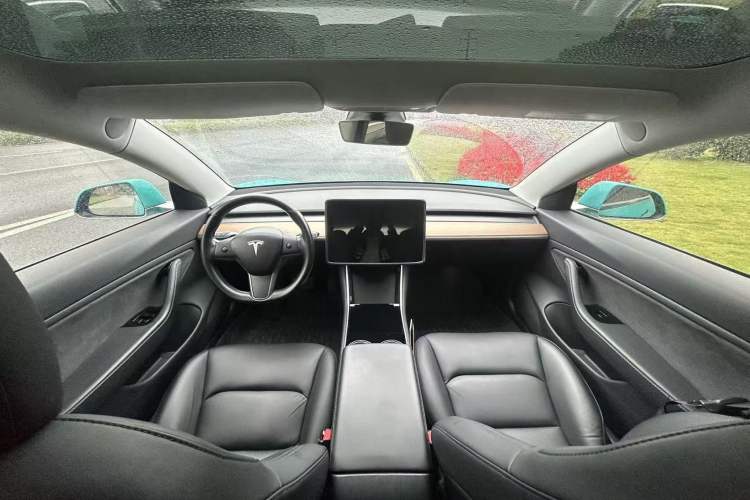 Used Tesla Model 3 (Import) 2019 Long-Range Rear-Wheel-Drive Version
