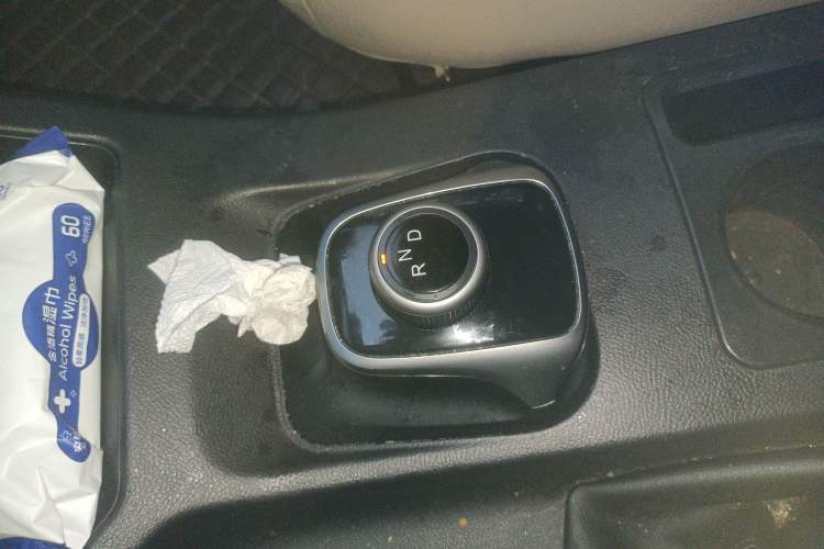 Used FORTHING Lingzhi M5 2022 Standard Edition Basic Model 9-Seater