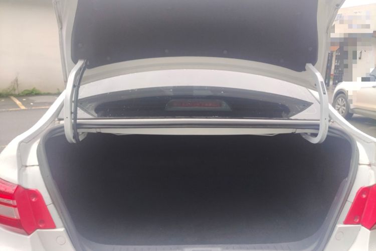 Used FORTHING S60 EV 2024 PRO Elite Model