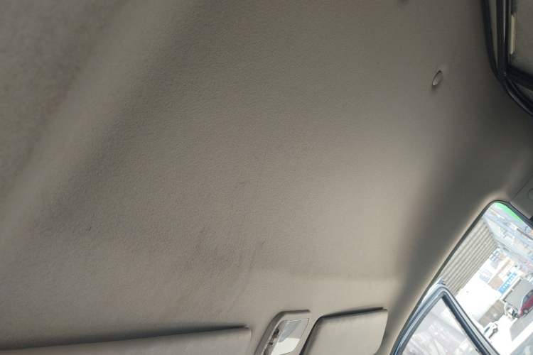 Used FORTHING Lingzhi 2023 V3 1.6L Base Model 2 Seats Headliner