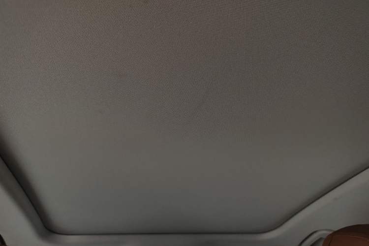 Used Hongqi H9 2020 Revised Version 2.0T Smart Connect Flagship Edition Headliner