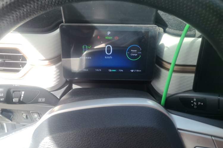 Used SOL E10X 2022 Flower Fairy Style Baby's Breath
