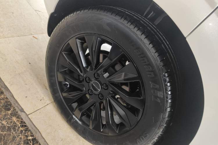 Used FORTHING T5 EVO 2021 1.5TD DCT Starry Edition
