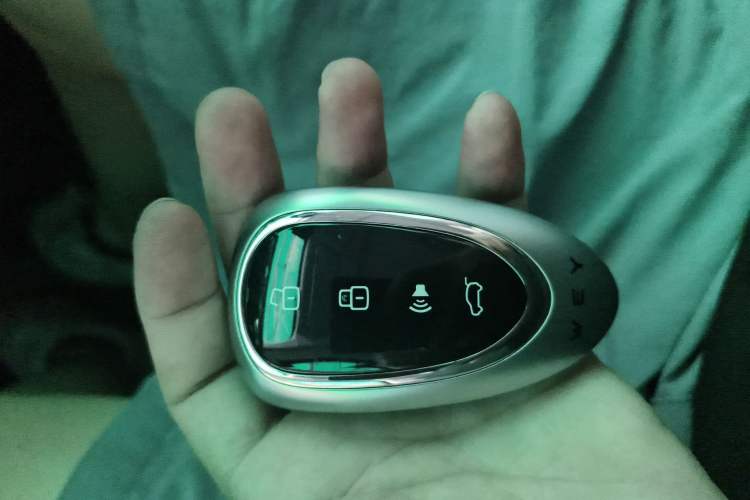 Used Wey Mocha New Energy 2023 Two-Wheel Drive Long-Range Version