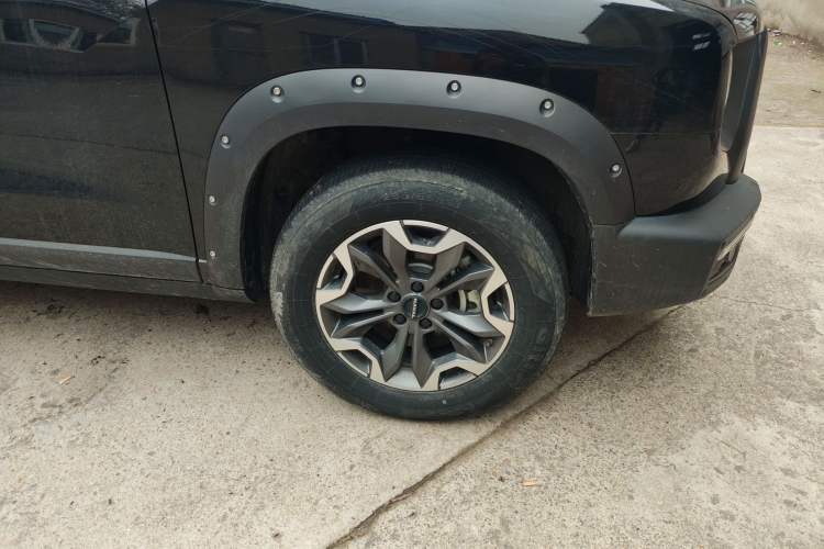 Used Haval DARGO 2024 2.0T DCT Chinese Rural Dog Edition