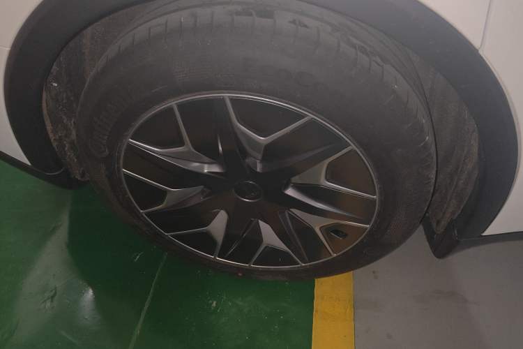 Used Tesla Model Y L 2025 Model Long-Range All-Wheel-Drive Version