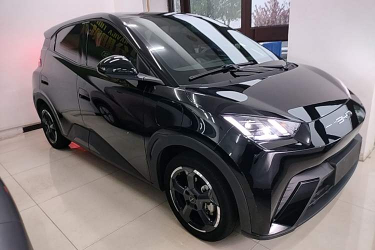 Used BYD Seagull 2023 Free Edition Front Right 45 Deg