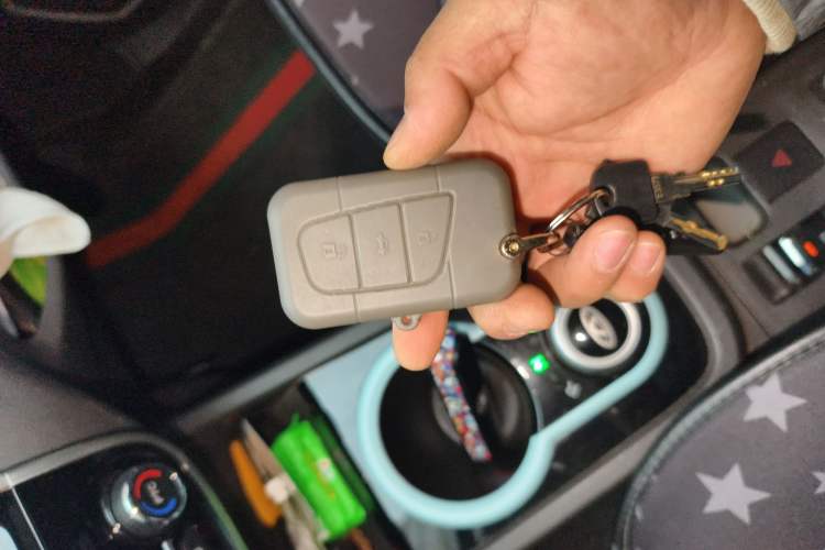 Used Chery Little Ant 2021 Revised Version 150 000 Yuan Ant Fan Edition New Ant Cool Edition Lithium Iron Phosphate
